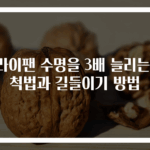 후라이팬 수명을 3배 늘리는 세척법과 길들이기 방법