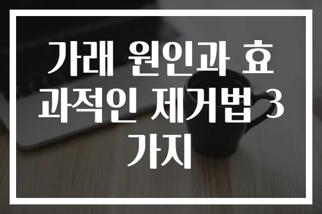가래 원인과 효과적인 제거법 3가지