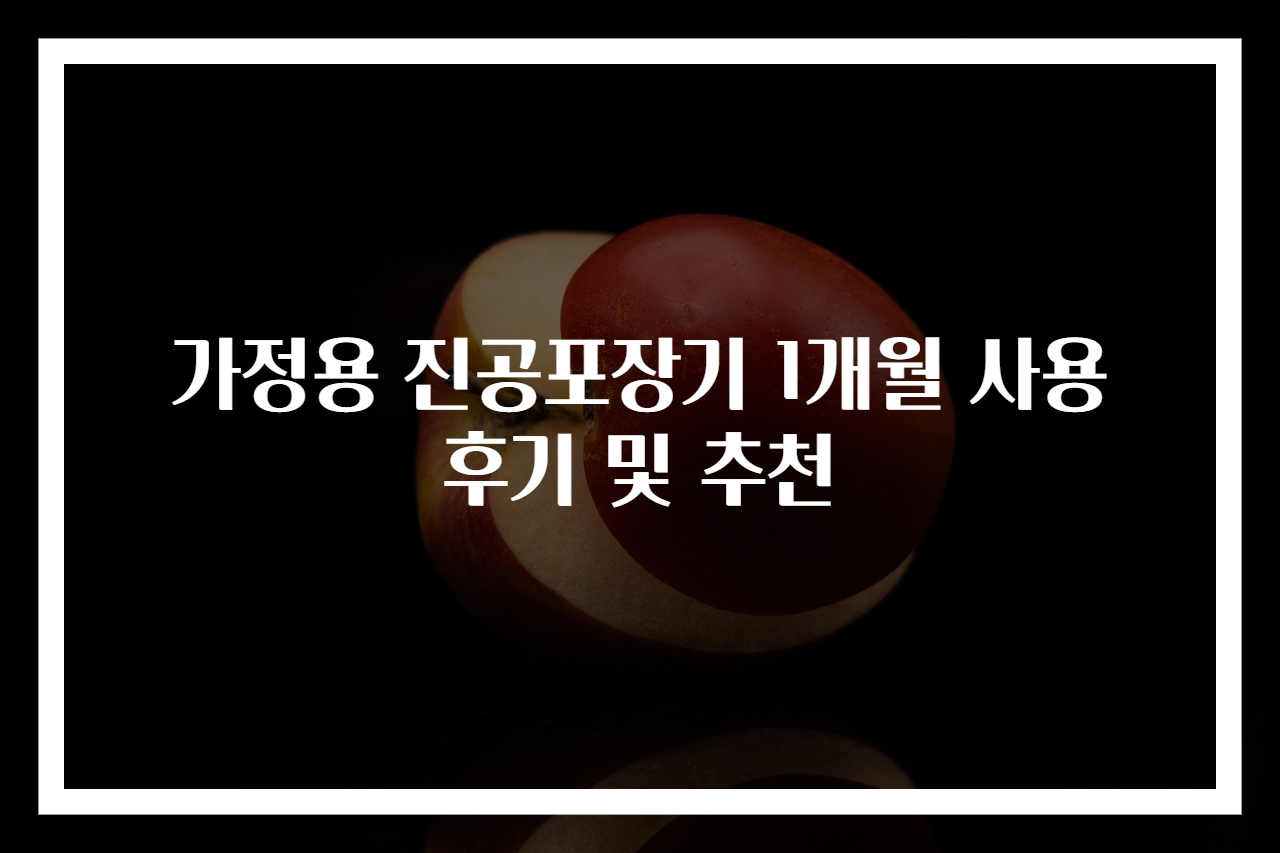 가정용 진공포장기 1개월 사용 후기 및 추천