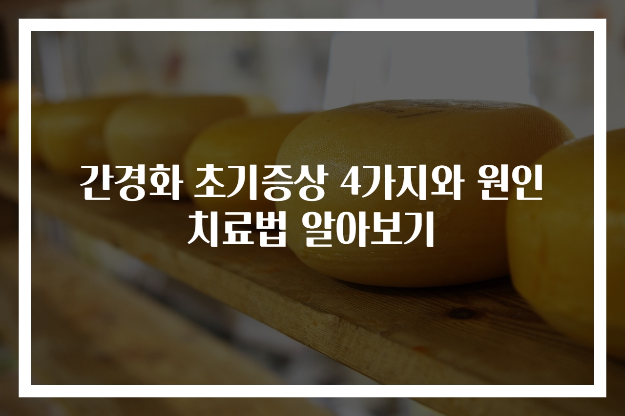 간경화 초기증상 4가지와 원인 치료법 알아보기