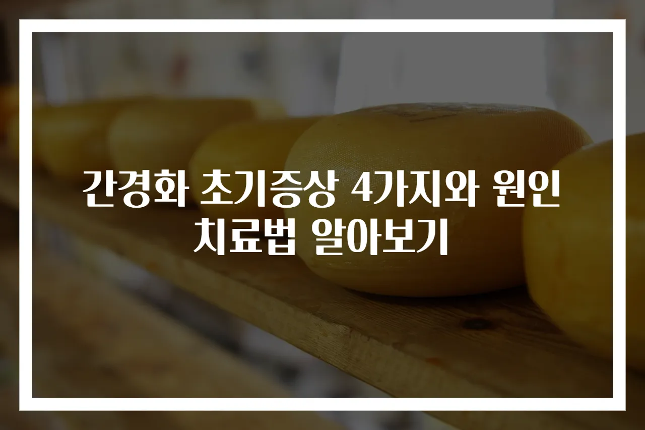 간경화 초기증상 4가지와 원인 치료법 알아보기