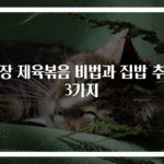 간장 제육볶음 비법과 집밥 추천 3가지