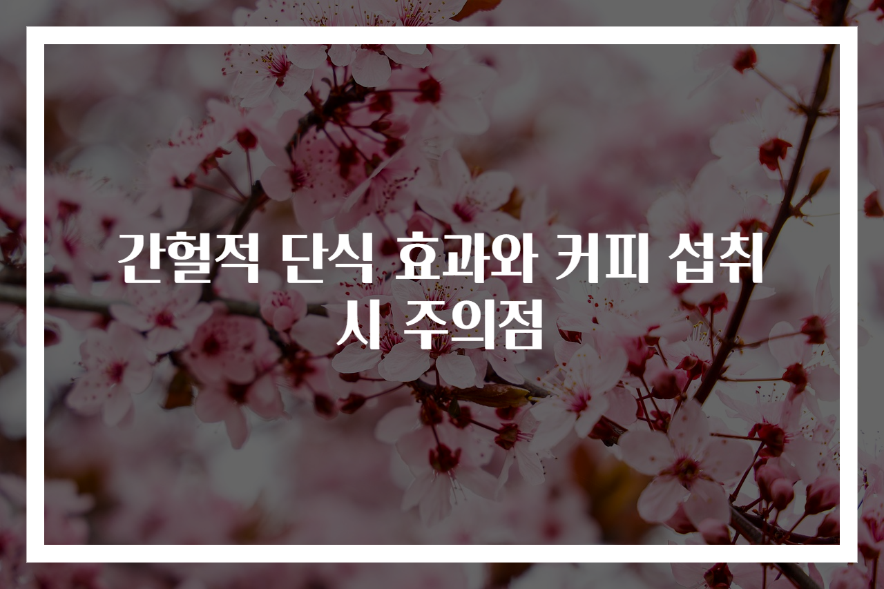 간헐적 단식 효과와 커피 섭취 시 주의점