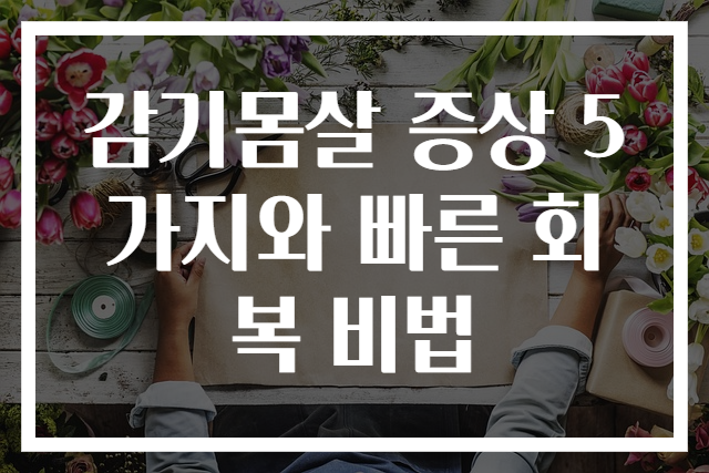 감기몸살 증상 5가지와 빠른 회복 비법