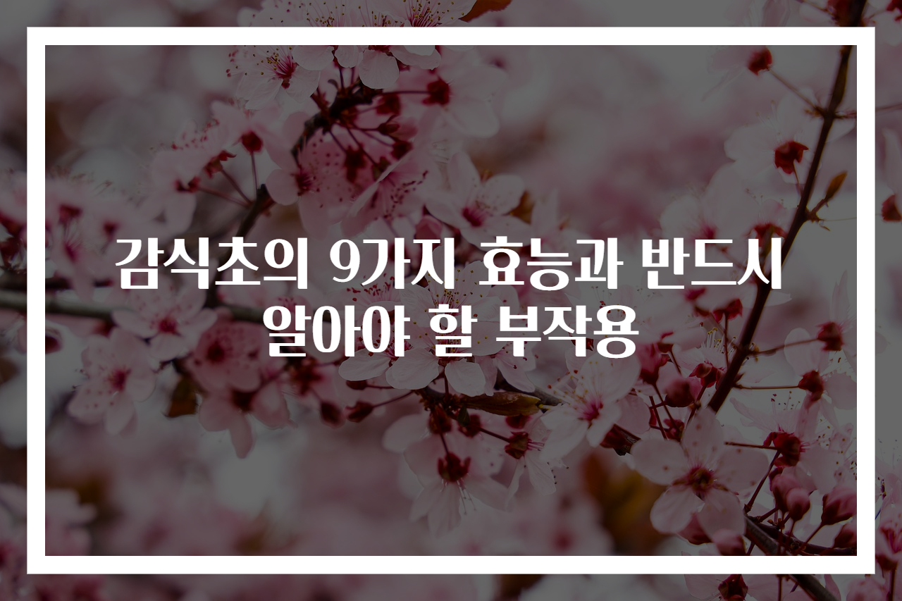 감식초의 9가지 효능과 반드시 알아야 할 부작용