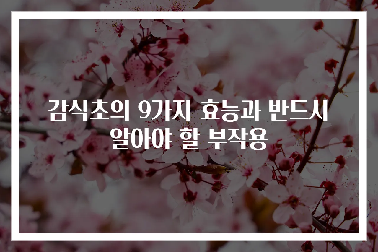 감식초의 9가지 효능과 반드시 알아야 할 부작용