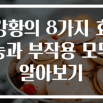 강황의 8가지 효능과 부작용 모두 알아보기