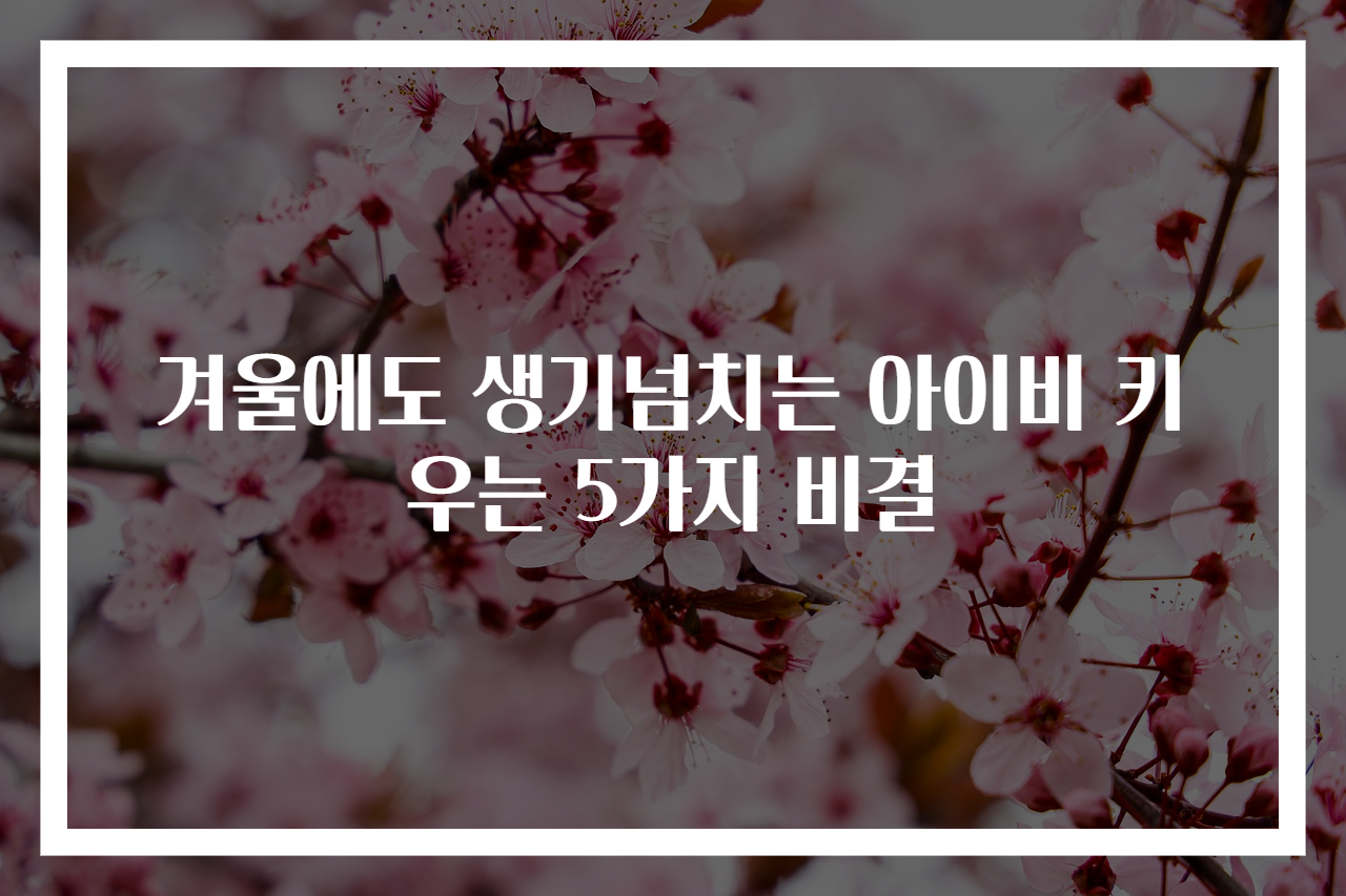 겨울에도 생기넘치는 아이비 키우는 5가지 비결