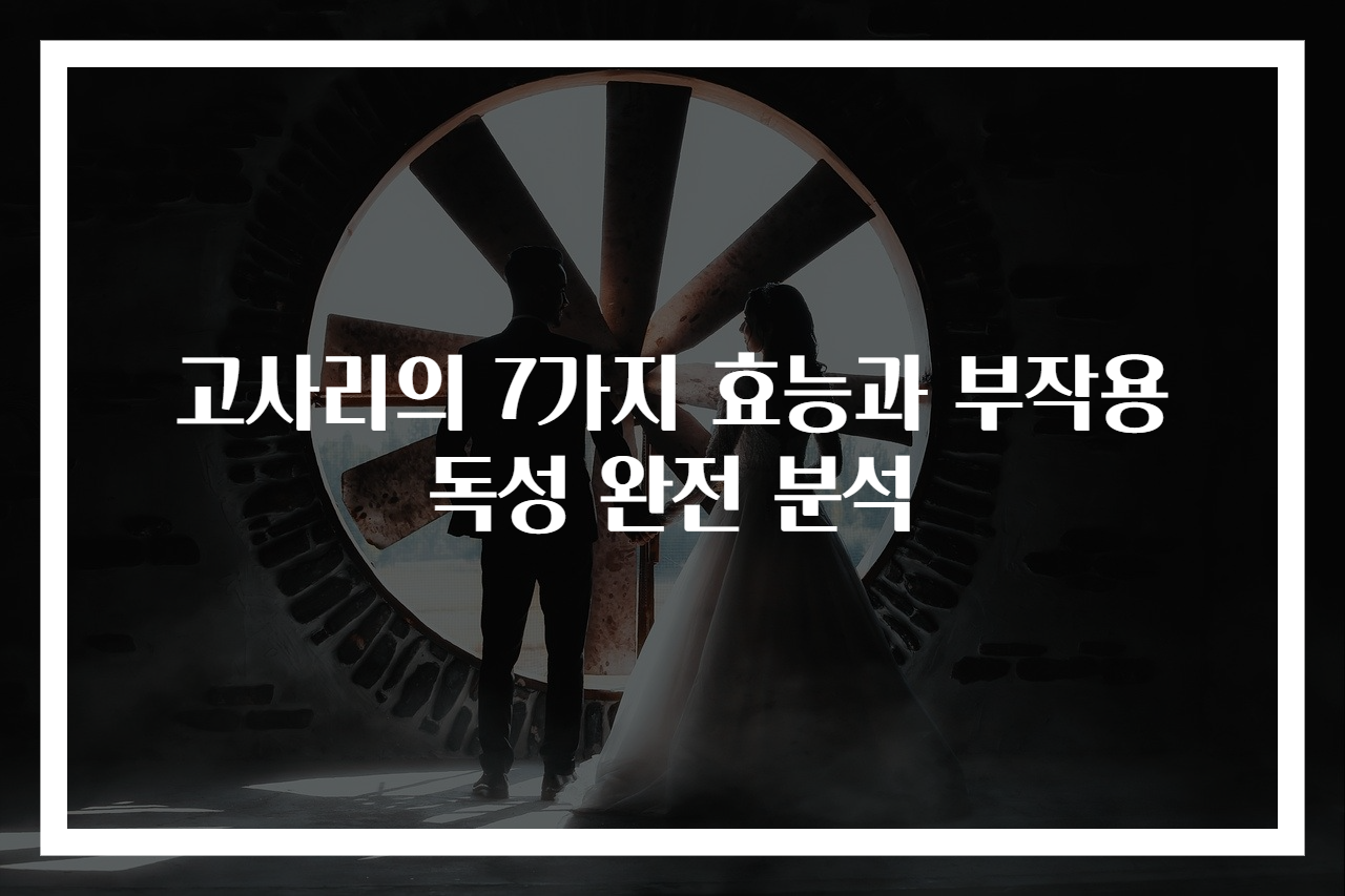 고사리의 7가지 효능과 부작용 독성 완전 분석