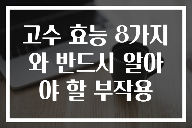 고수 효능 8가지와 반드시 알아야 할 부작용