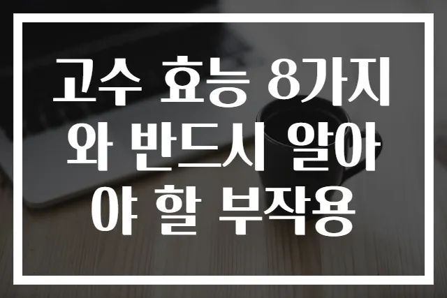 고수 효능 8가지와 반드시 알아야 할 부작용