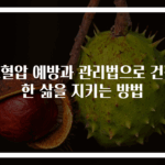 고혈압 예방과 관리법으로 건강한 삶을 지키는 방법