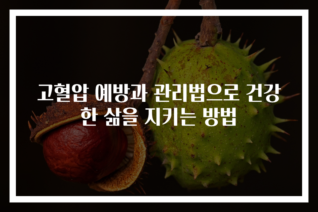 고혈압 예방과 관리법으로 건강한 삶을 지키는 방법