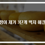 곰팡이 제거 3단계 벽지 해결법