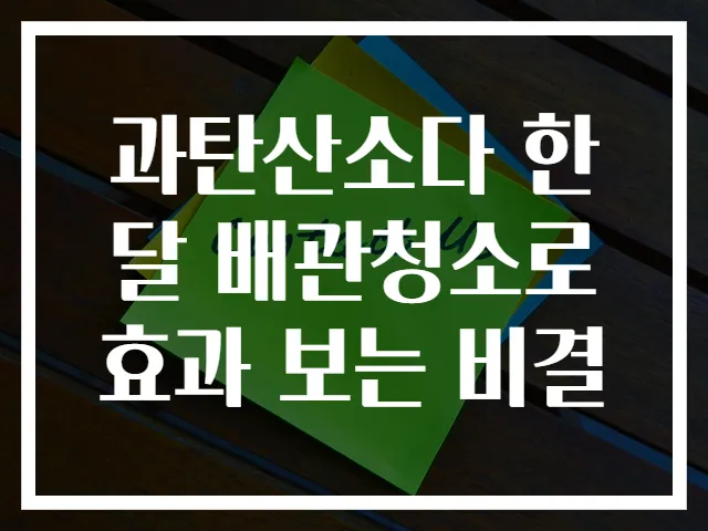 과탄산소다 한 달 배관청소로 효과 보는 비결