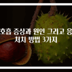 과호흡 증상과 원인 그리고 응급처치 방법 3가지