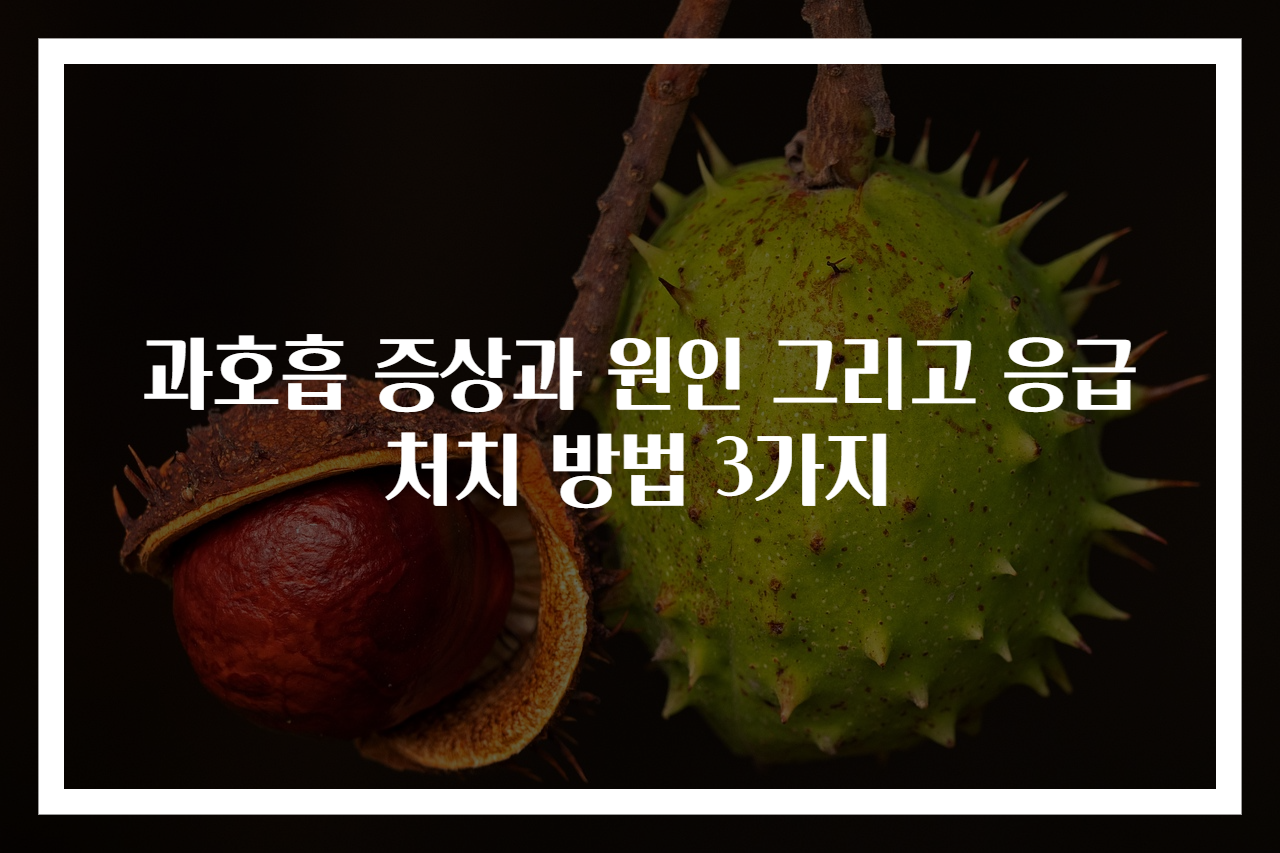과호흡 증상과 원인 그리고 응급처치 방법 3가지
