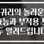 귀리의 놀라운 효능과 부작용 모두 알려드립니다
