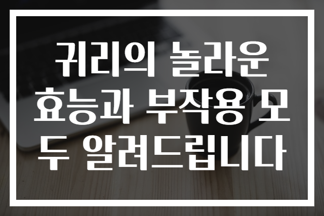 귀리의 놀라운 효능과 부작용 모두 알려드립니다