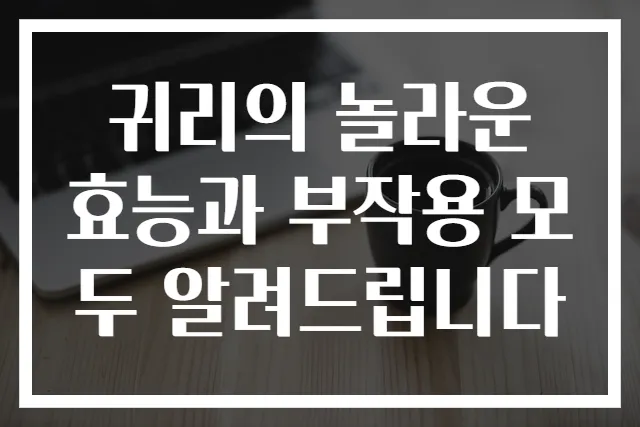 귀리의 놀라운 효능과 부작용 모두 알려드립니다