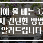 귀에 물 빼는 3가지 간단한 방법 알려드립니다