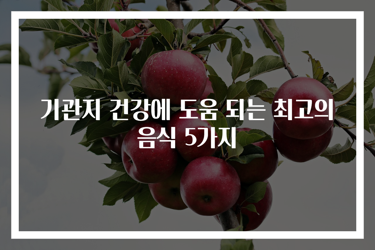 기관지 건강에 도움 되는 최고의 음식 5가지