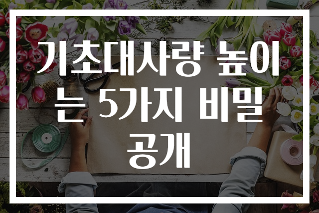 기초대사량 높이는 5가지 비밀 공개