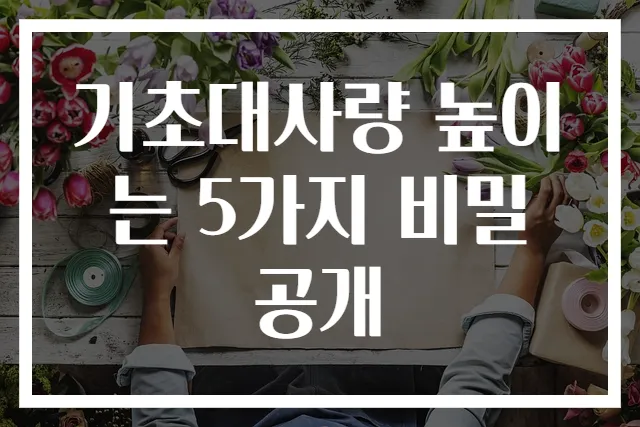 기초대사량 높이는 5가지 비밀 공개