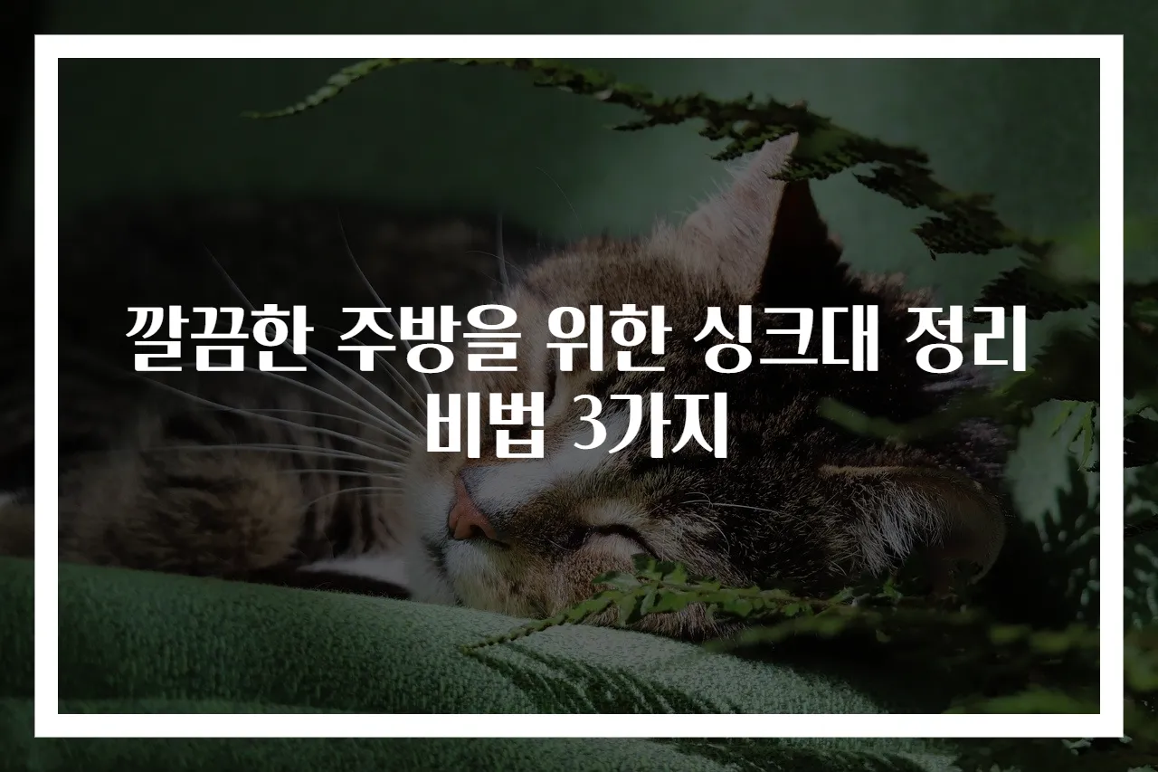 깔끔한 주방을 위한 싱크대 정리 비법 3가지