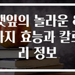 깻잎의 놀라운 8가지 효능과 칼로리 정보