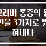 꼬리뼈 통증의 원인을 3가지로 밝혀내다