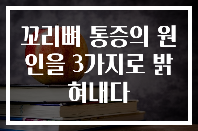 꼬리뼈 통증의 원인을 3가지로 밝혀내다