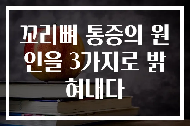 꼬리뼈 통증의 원인을 3가지로 밝혀내다