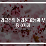 꽈리고추의 놀라운 효능과 부작용 8가지