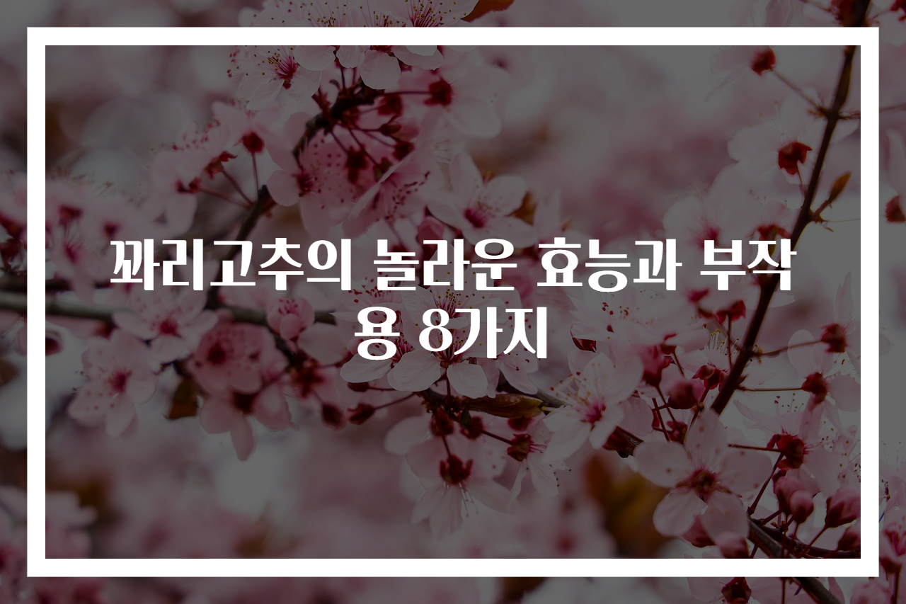 꽈리고추의 놀라운 효능과 부작용 8가지
