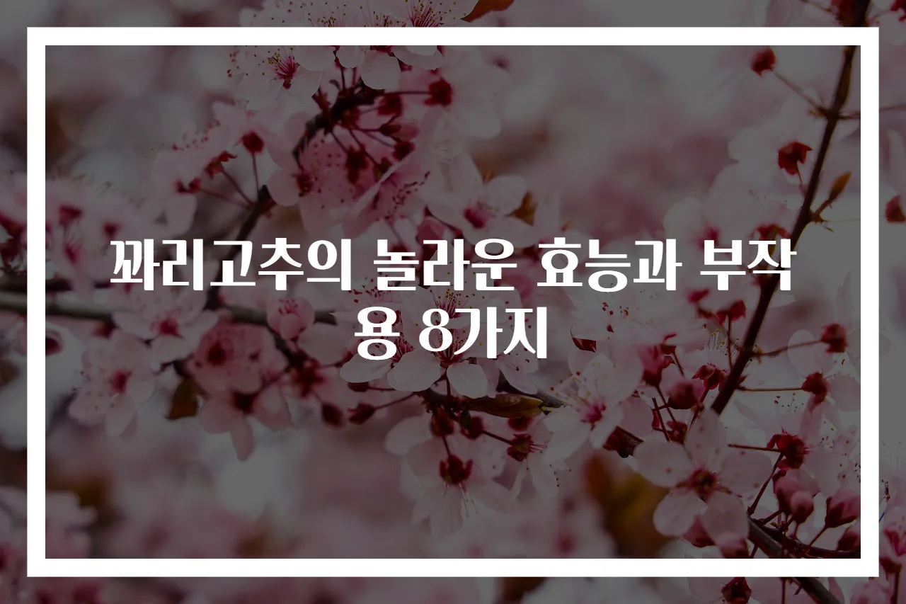 꽈리고추의 놀라운 효능과 부작용 8가지