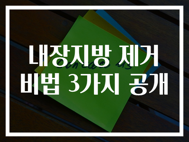 내장지방 제거 비법 3가지 공개