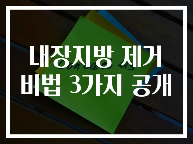 내장지방 제거 비법 3가지 공개