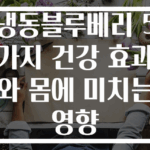 냉동블루베리 5가지 건강 효과와 몸에 미치는 영향