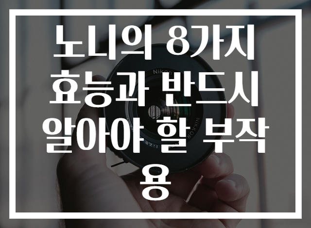 노니의 8가지 효능과 반드시 알아야 할 부작용