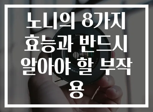 노니의 8가지 효능과 반드시 알아야 할 부작용