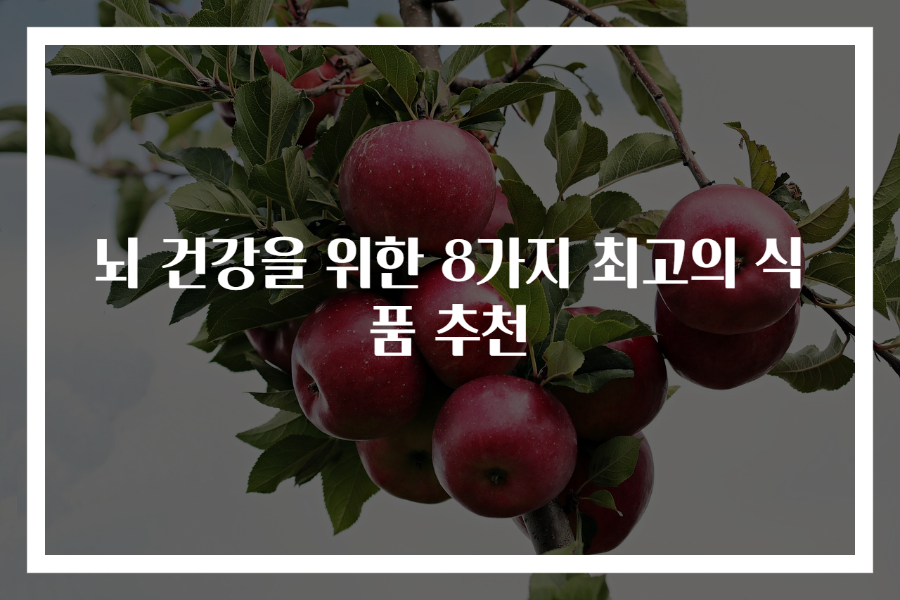 뇌 건강을 위한 8가지 최고의 식품 추천