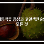 뇌동맥류 증상과 코일색전술의 모든 것