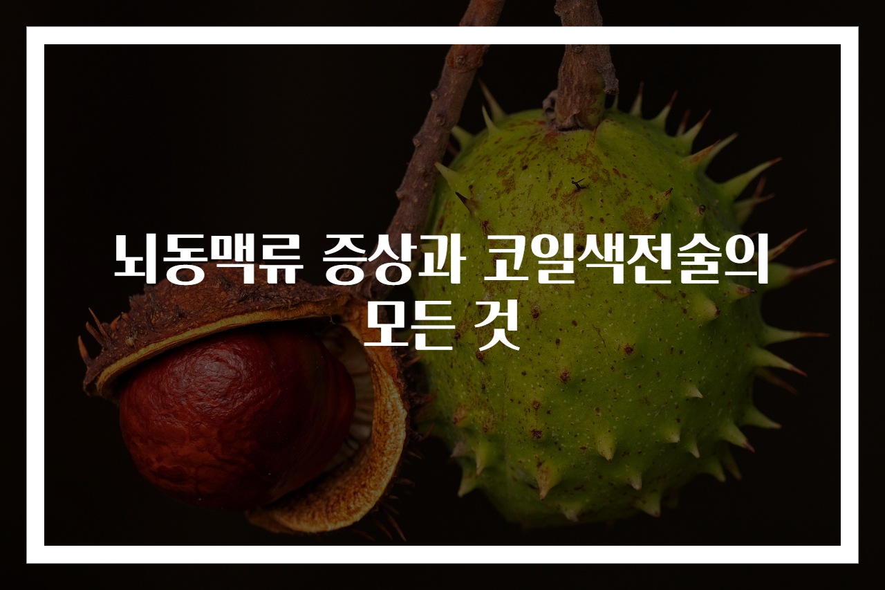 뇌동맥류 증상과 코일색전술의 모든 것