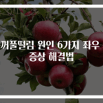 눈꺼풀떨림 원인 6가지 좌우 눈증상 해결법