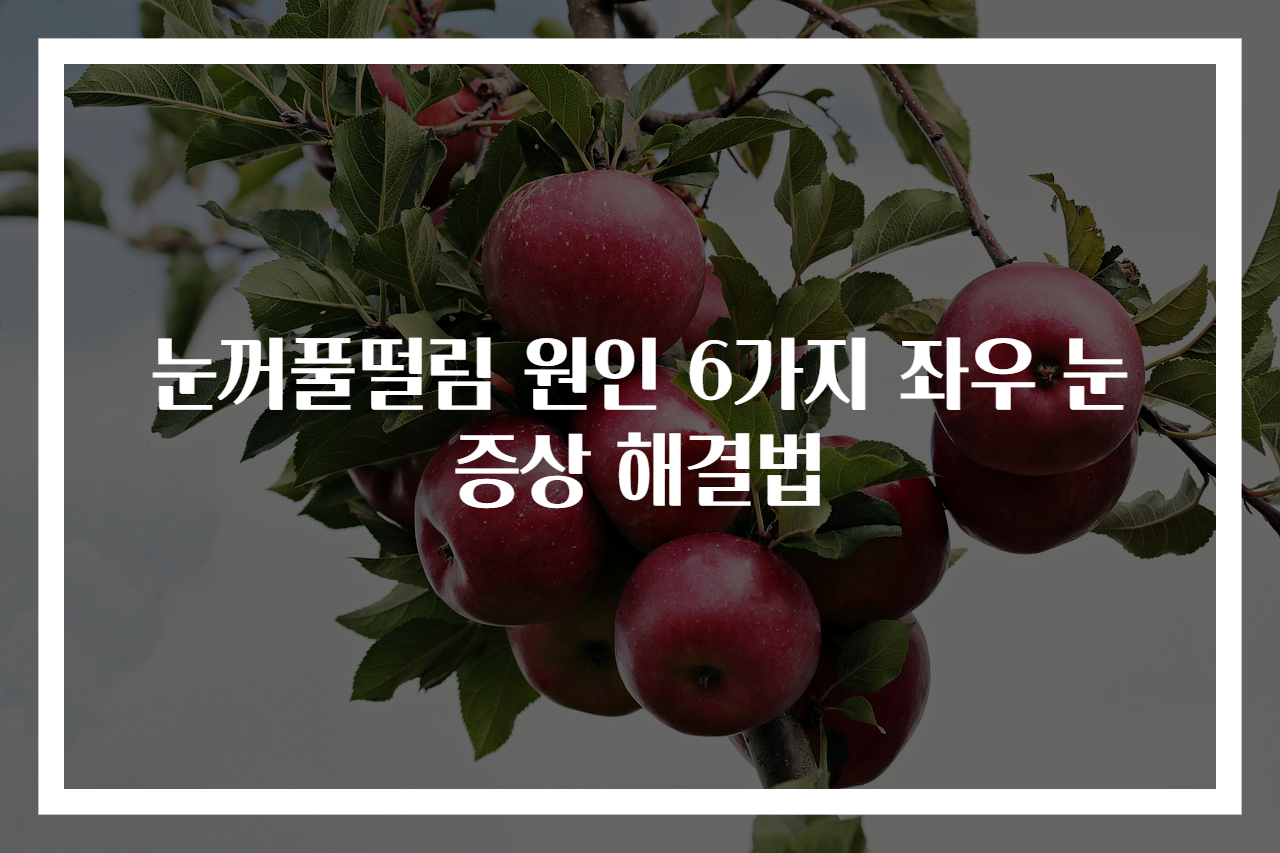눈꺼풀떨림 원인 6가지 좌우 눈증상 해결법