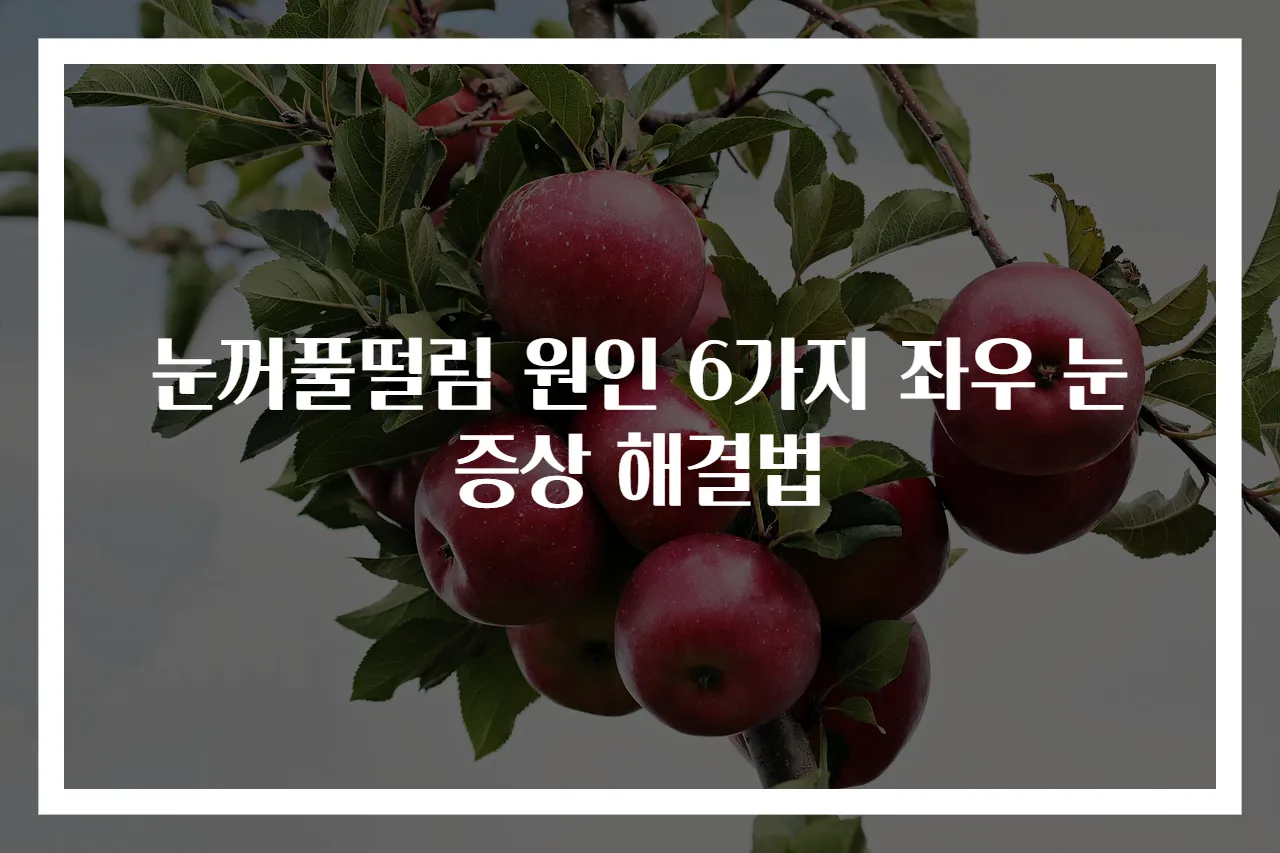 눈꺼풀떨림 원인 6가지 좌우 눈증상 해결법