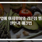 눈앞에 아지랑이와 검은점 벌레 원인과 해결법