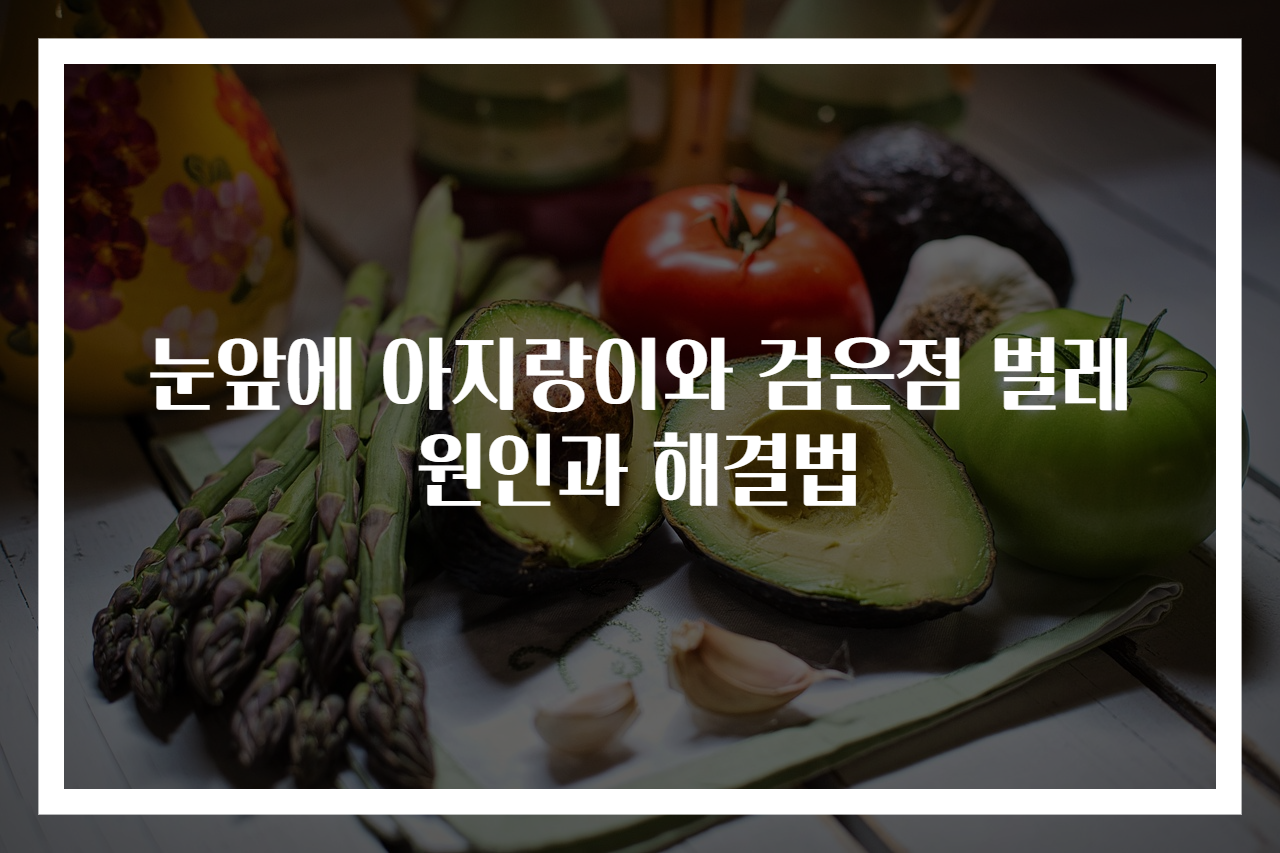 눈앞에 아지랑이와 검은점 벌레 원인과 해결법