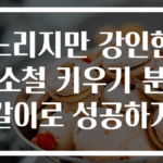 느리지만 강인한 소철 키우기 분갈이로 성공하기